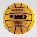 Winner WP 