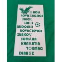 Tričko Ferencváros FANS 2020/21