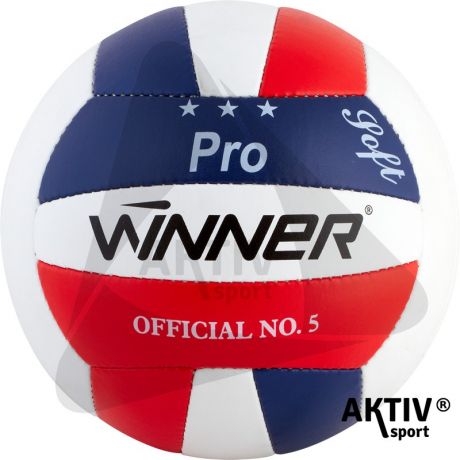 Volejbalová lopta Winner Pro