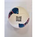 Futbalová lopta Errea Artemio