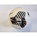 Futbalová lopta Errea Pro35