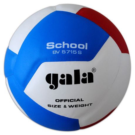 Volejbalová lopta Gala School 12 BV5715S