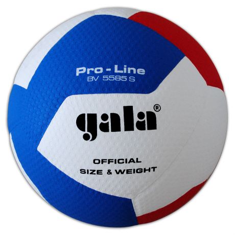 Volejbalová lopta Gala Pro-Line 10 BV5585S