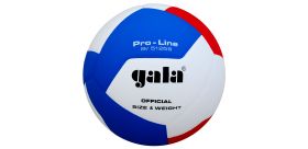 Volejbalová lopta Gala Pro-Line 12 BV5125S