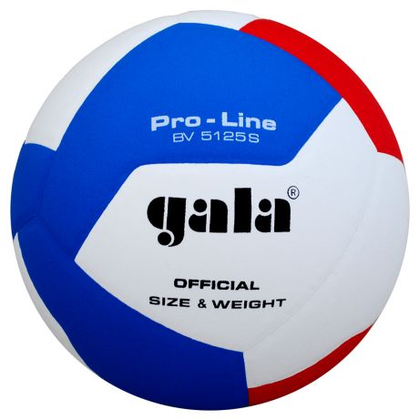 Volejbalová lopta Gala Pro-Line 12 BV5125S