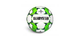 Futbalová lopta Derbystar Brillant TT