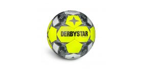 Futbalová lopta Derbystar Brillant TT AG