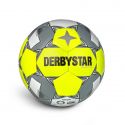 Futbalová lopta Derbystar Brillant TT AG