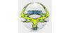 Futbalová lopta Joma DALI III