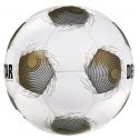 Futbalová lopta Derbystar Brillant APS v25