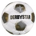 Futbalová lopta Derbystar Brillant APS v25