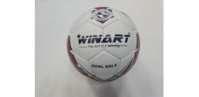 Futsalová lopta Winart Goal Sala