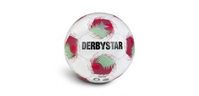 Futbalová lopta Derbystar Tempo APS
